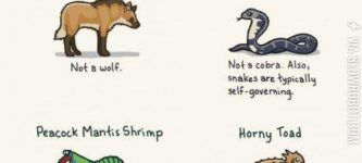 Animals+with+misleading+names