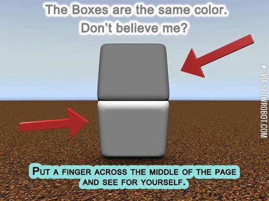 The+boxes+are+the+same+color.