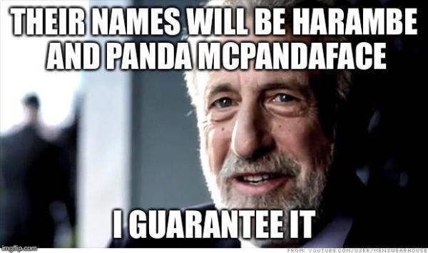 Atlanta+Zoo+is+asking+the+public+to+name+its+new+panda+cubs.