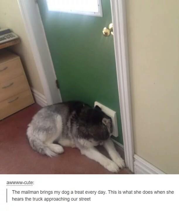 Waiting+for+the+mailman+like+waiting+for+the+Winds+of+Winter