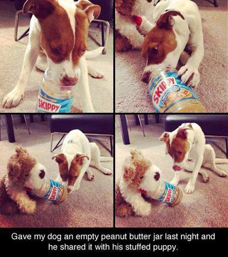 Gave+My+Dog+An+Empty+Peanut+Butter+Jar+Last+Night