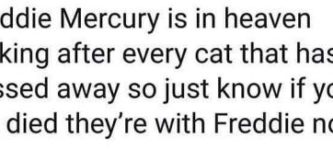 He%26%238217%3Bs+with+Freddie+now.