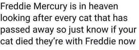 He%26%238217%3Bs+with+Freddie+now.