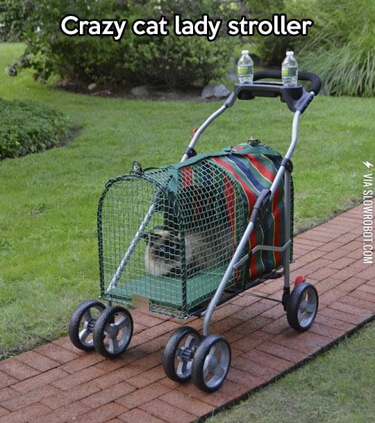 Crazy+cat+lady+stroller.