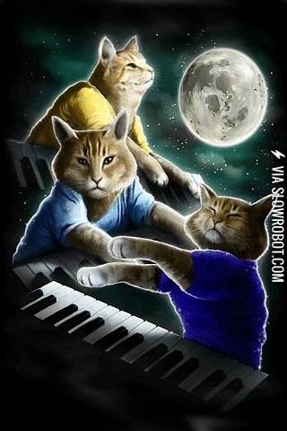 The+power+of+keyboard+cat
