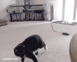 I+Like+to+Burst+Your+Bubble