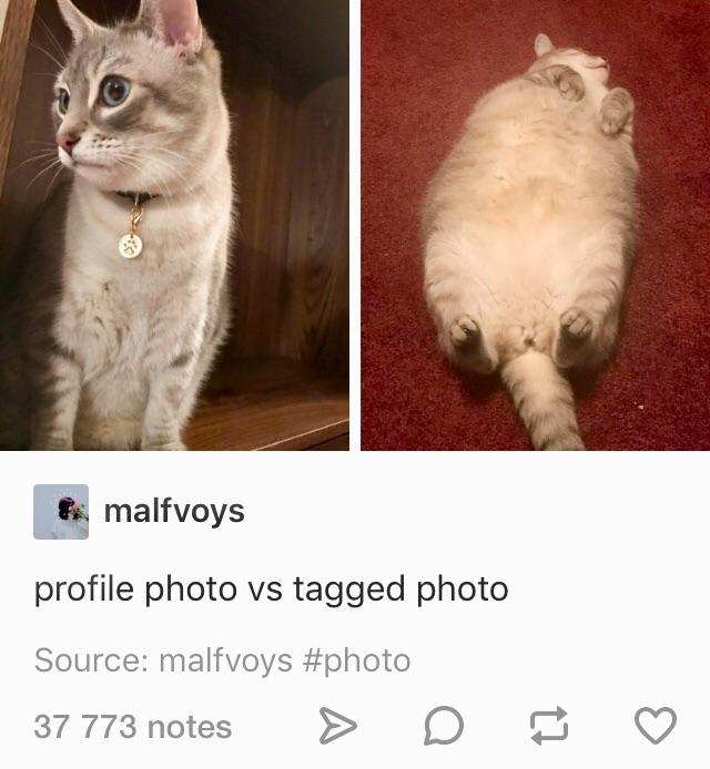 ayyy+it%26%238217%3Bs+me