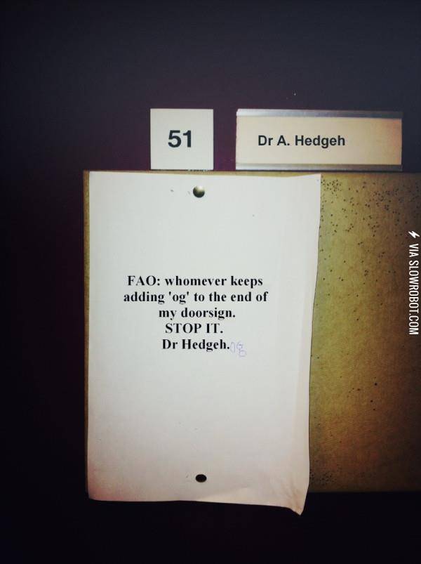 Dr.+Hedgehog