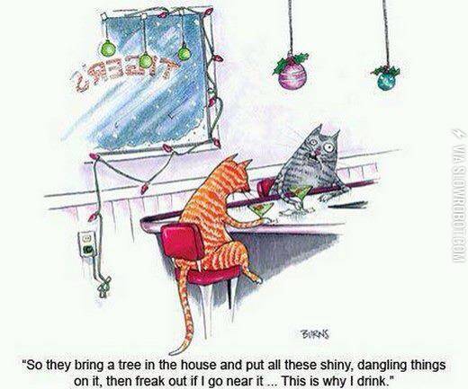Christmas+Cats