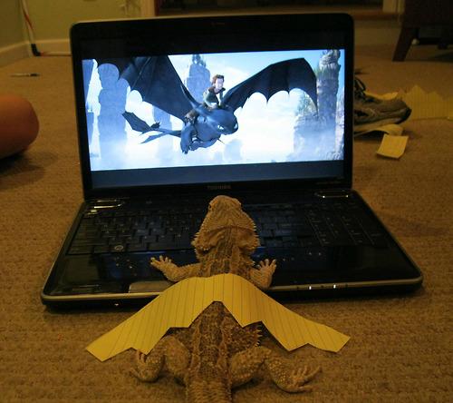 They+told+me+I+could+be+a+dragon%21