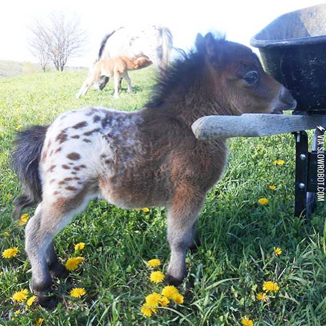 I%26%238217%3Bm+a+little+hoarse