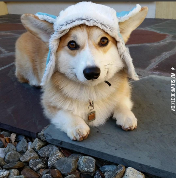 Baby+it%26%238217%3Bs+cold+outside