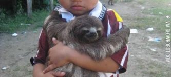 A+kid+and+his+sloth+hanging+out.