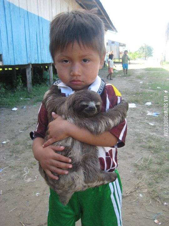 A+kid+and+his+sloth+hanging+out.