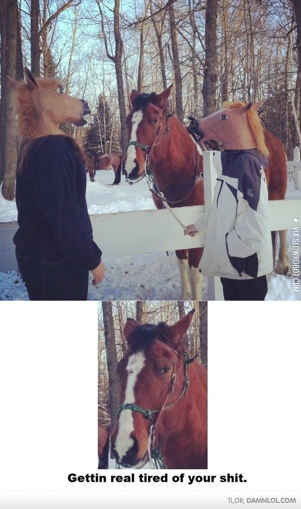 horse+does+not+approve