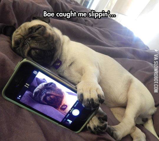 Bae+caught+me+slippin%26%238217%3B.