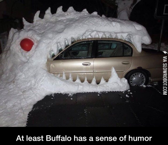 Buffalo+Humor