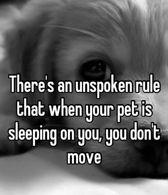 Important+Unspoken+Rule