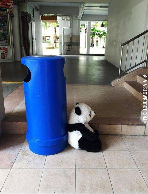 Saddest+thing+I%26%23039%3Bve+seen+today