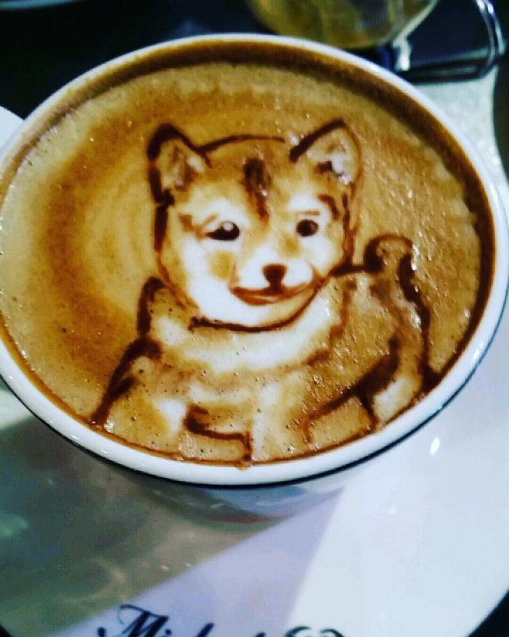 Shiba+latte