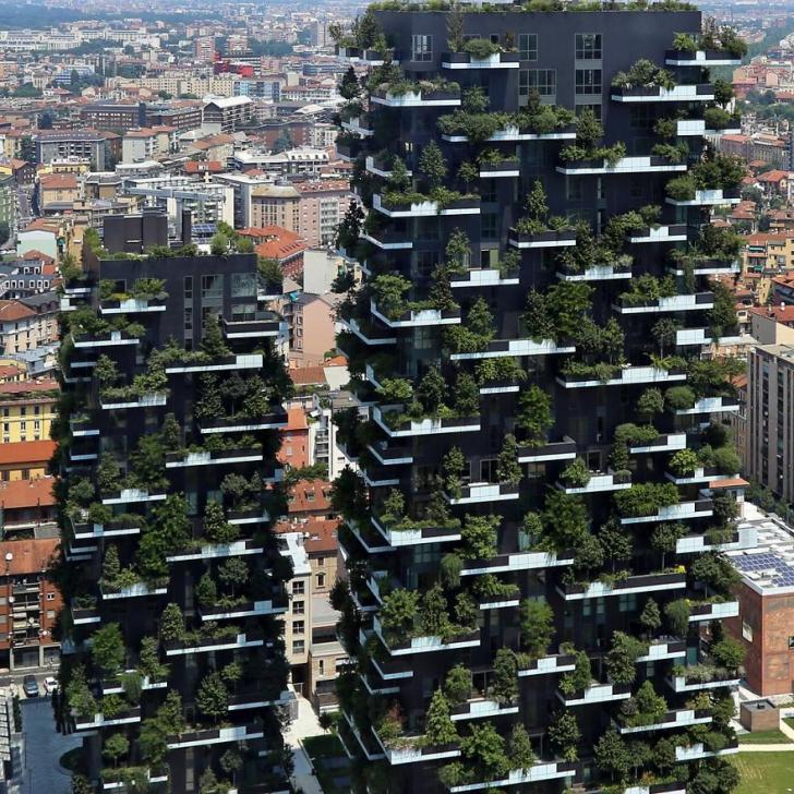 Vertical+gardens