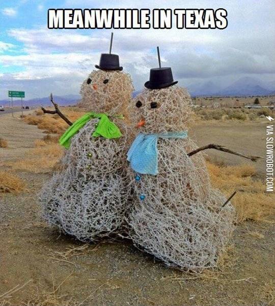 Meanwhile%2C+in+Texas.