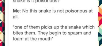 Is+this+snake+poisonous%3F