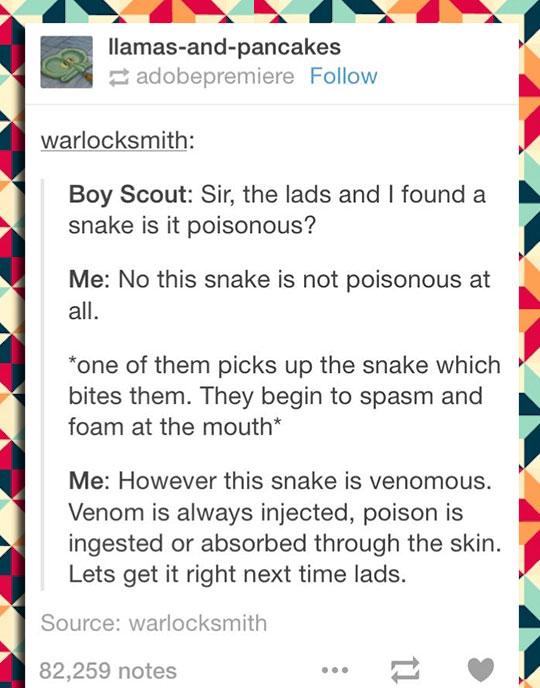 Is+this+snake+poisonous%3F