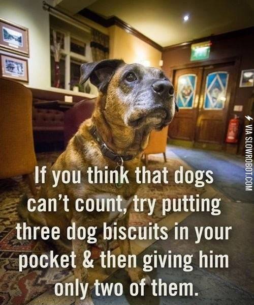 Let+the+great+experiment+begin%21