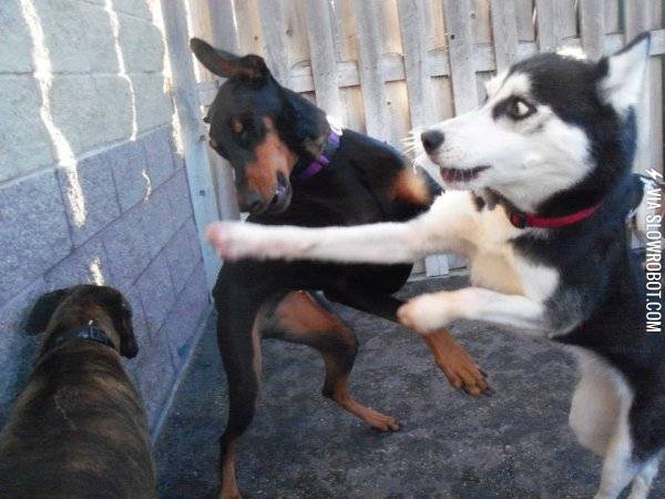 I+SAW+YOU+SNIFF+HER+BUTT