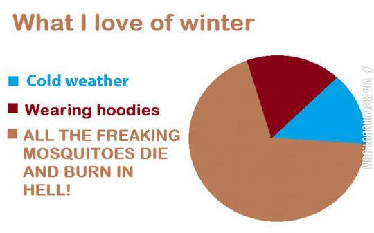 It%26%238217%3Bs+My+Favorite+Thing+About+Winter