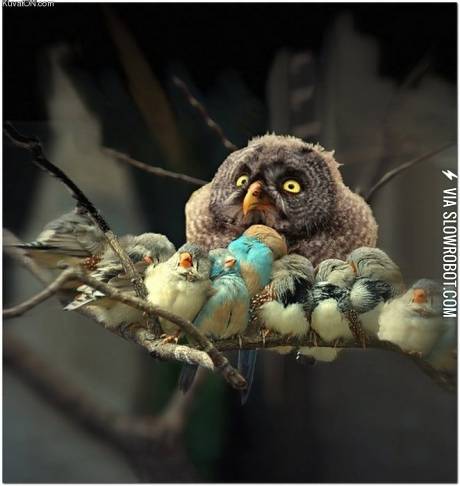 I+should+have+used+a+condom%21