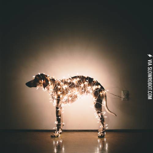 Maddie+is+excited+for+Christmas%21