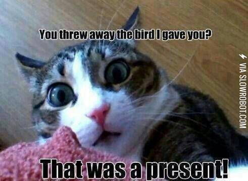 That+bird+was+a+present%21