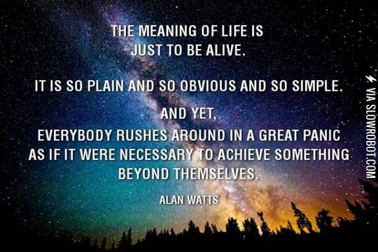 The+meaning+of+life