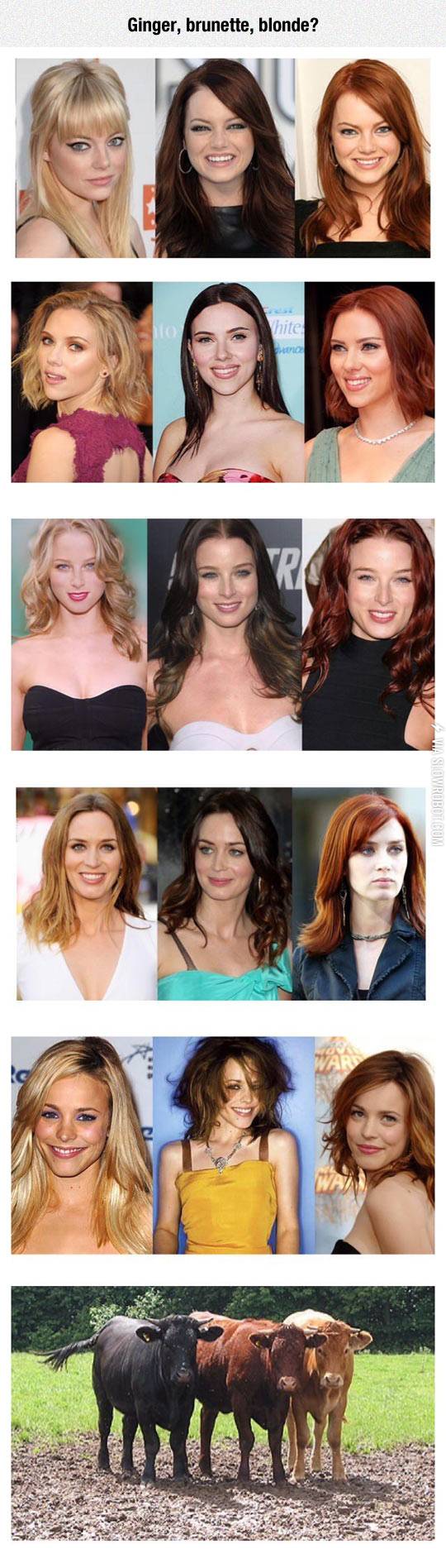 Blonde%2C+brunette%2C+ginger.