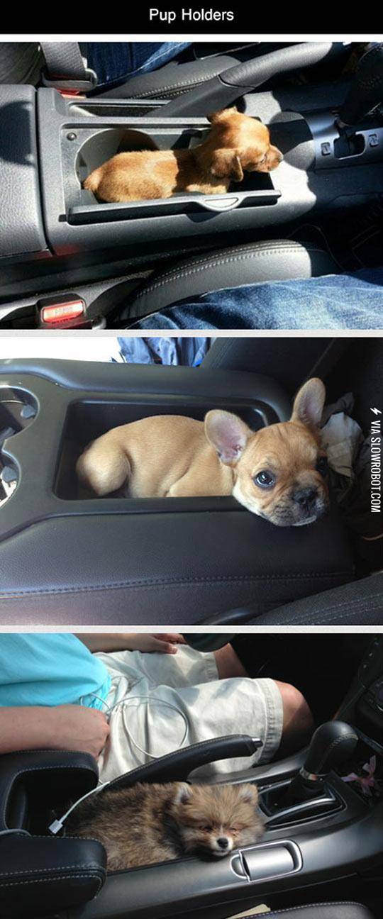 What+These+Holders+Were+Designed+For