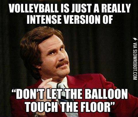 Truth+about+volleyball