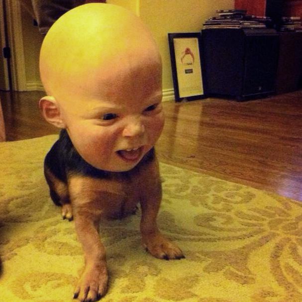 Baby+masks+are+just+odd