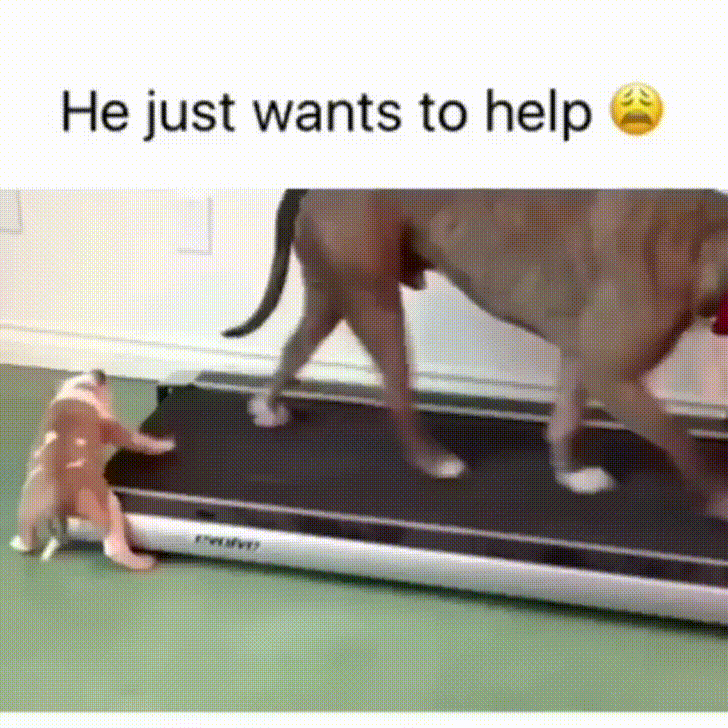 He+just+wants+to+help