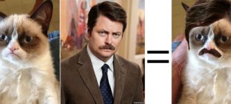 Ron+Swanson+%2B+Grumpy+Cat