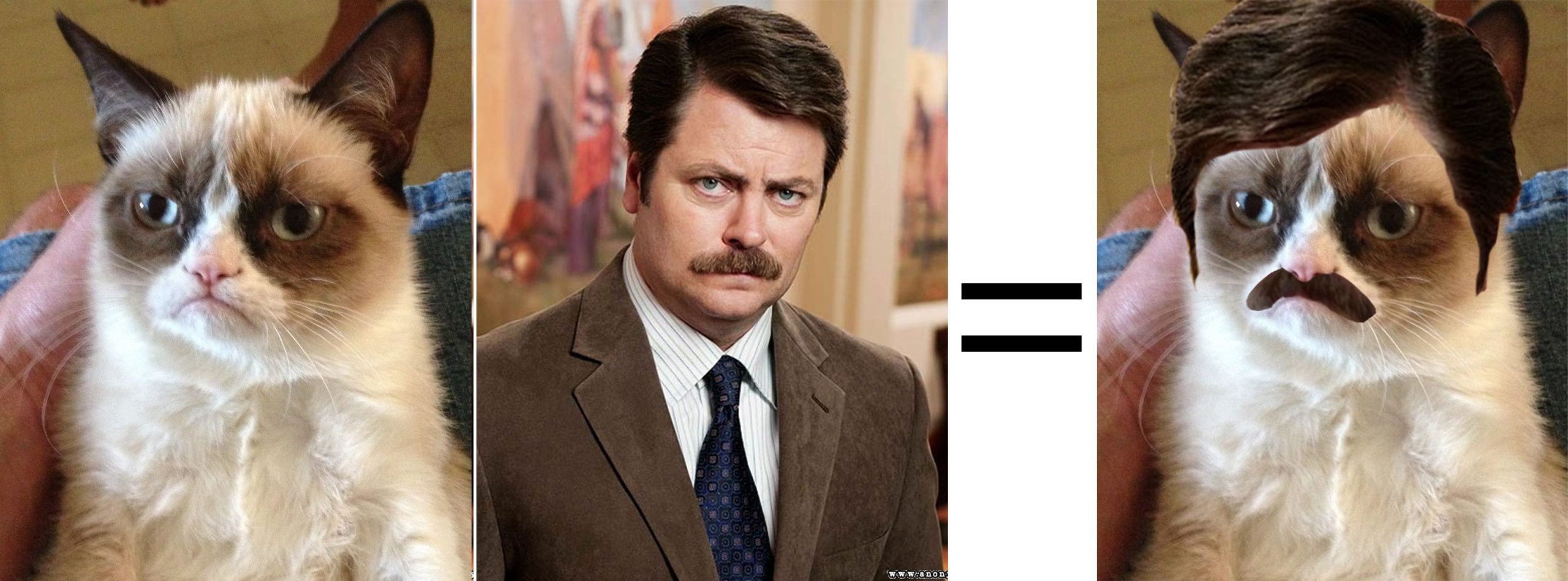 Ron+Swanson+%2B+Grumpy+Cat