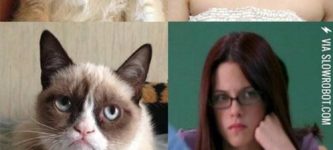 Grumpy+cat+does+Kristen+Stewart+impressions.