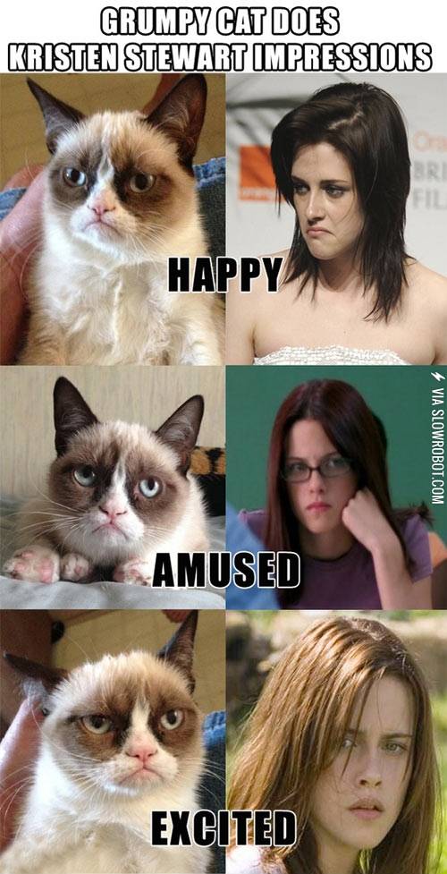 Grumpy+cat+does+Kristen+Stewart+impressions.