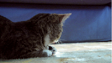 When+the+teacher+calls+my+name+while+I%26%238217%3Bm+daydreaming.