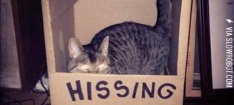 Hissing+Booth