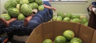 Sam+bought+a+thousand+watermelons