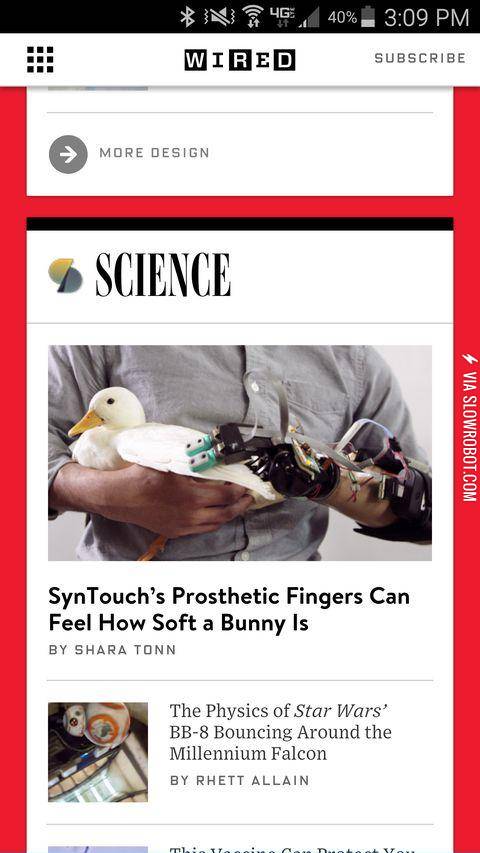 That%26%23039%3Bs+a+duck