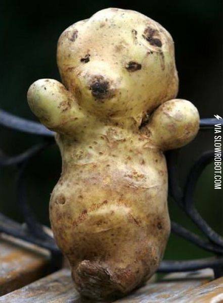 Taters+gonna+potate.