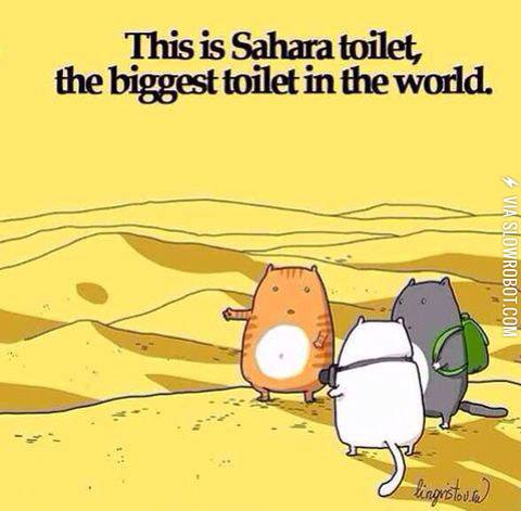 The+biggest+toilet+in+the+world.